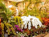 久屋大通庭園フラリエ