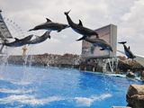 名古屋港水族館